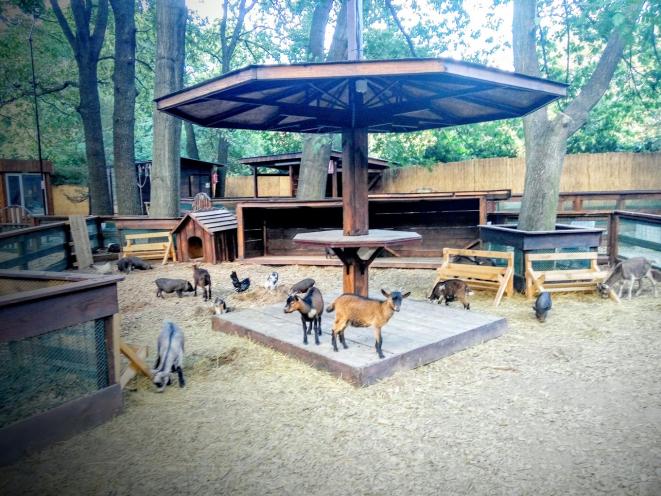 Animal Park