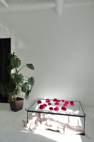 SKYLIGHT