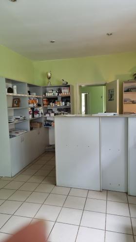 Левицький А.Е. СПД