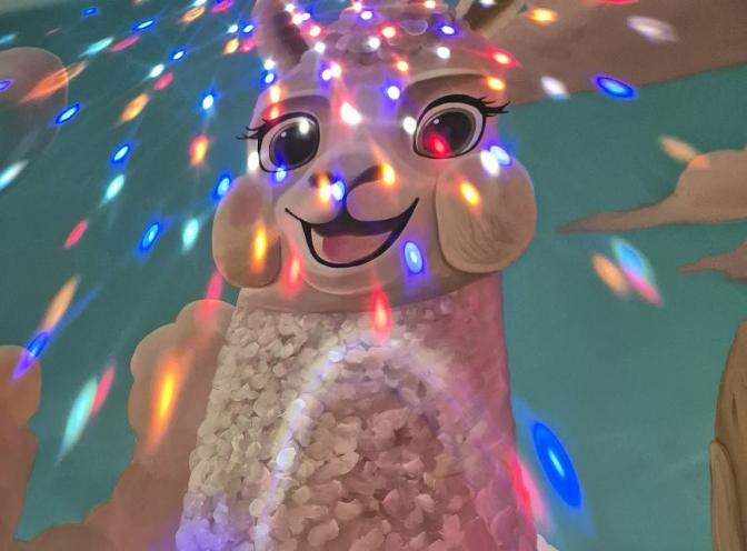 Alpaca