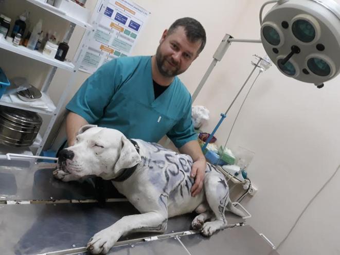VETPULSE