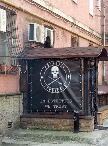 Esthetic Syndicate