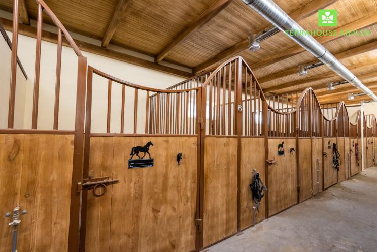 Pony Club