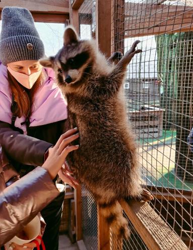 Animal Park