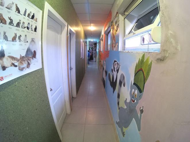 Мадагаскар