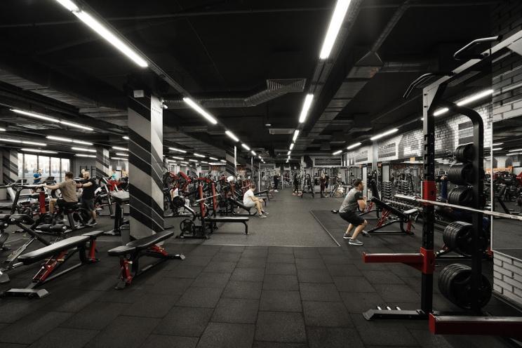DOG & Grand CrossFit