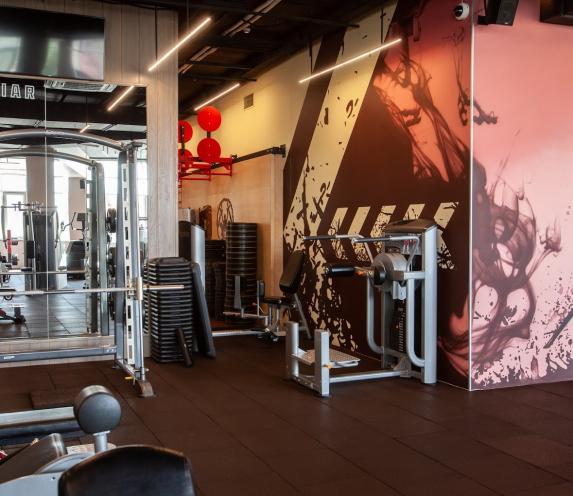 Geliar Gym