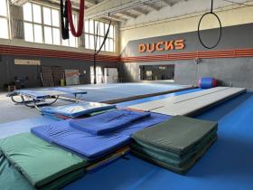 Ducks Arena