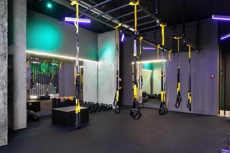 Jungle Gym