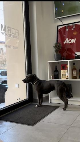FORM Barbershop