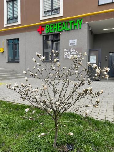 Behealthy