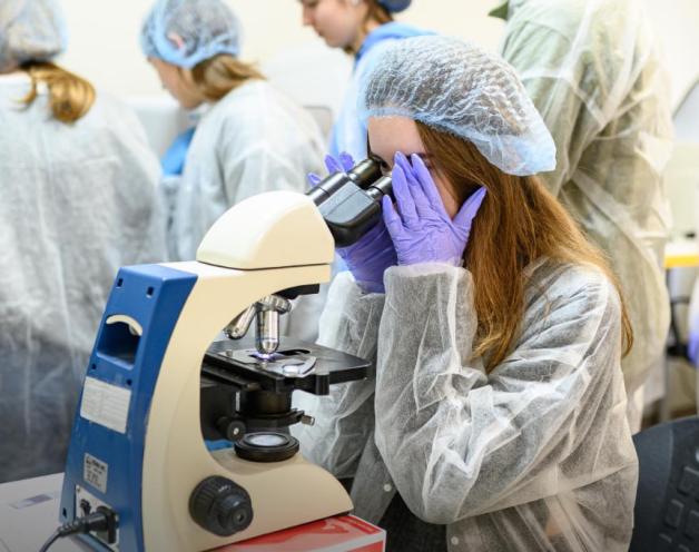 CSD Lab