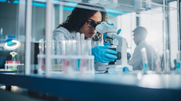МотаЛаб