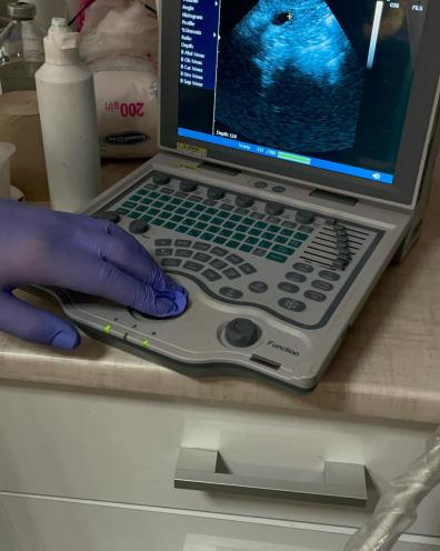 Mr.Vet