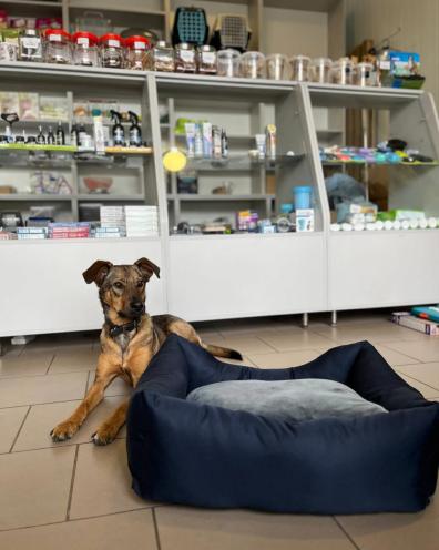 Petman