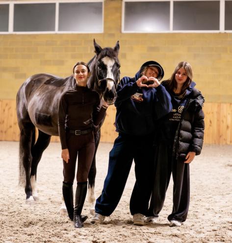 Lemberg Horse Club
