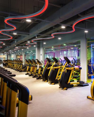 Sportlife