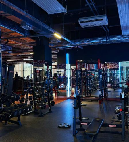 Sport Life