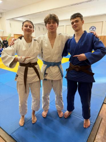 Judo Mania