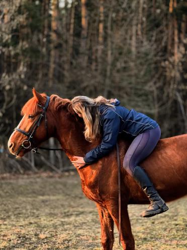 Horses Grand Amour
