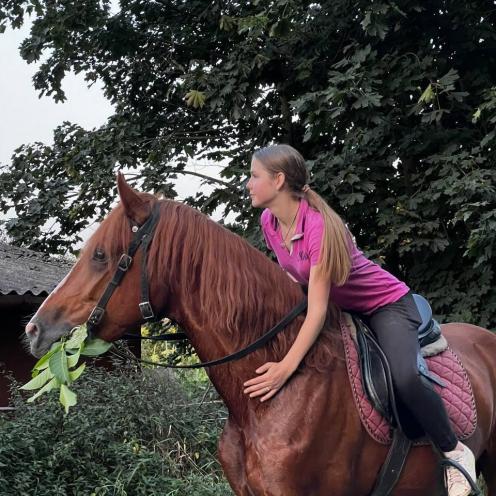 Horses Grand Amour