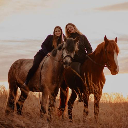 Horses Grand Amour