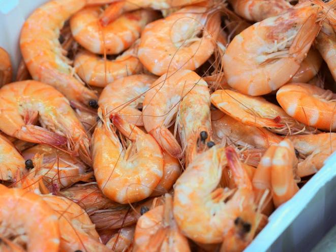 Egersund Seafood