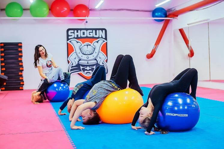 SHOGUN