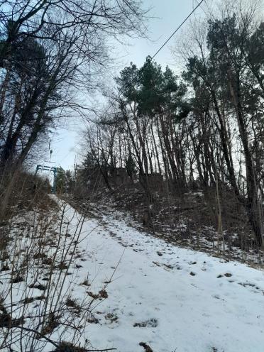 Горнолыжная база в лесопарке «Вознесение»