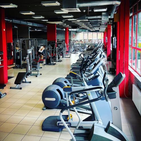 Stay Fit