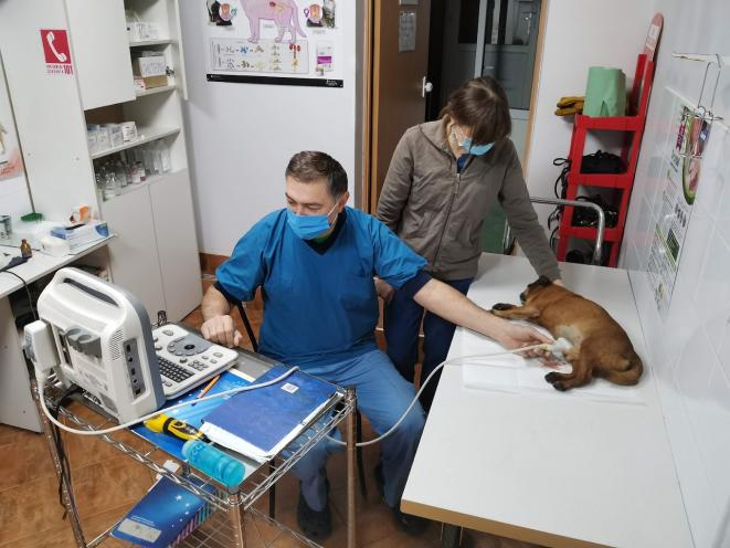 Ветклиника в Новоселках