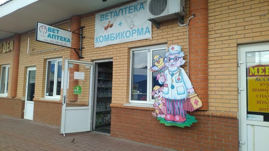 ЗАЙКА