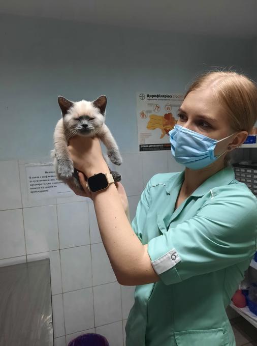 Полівет