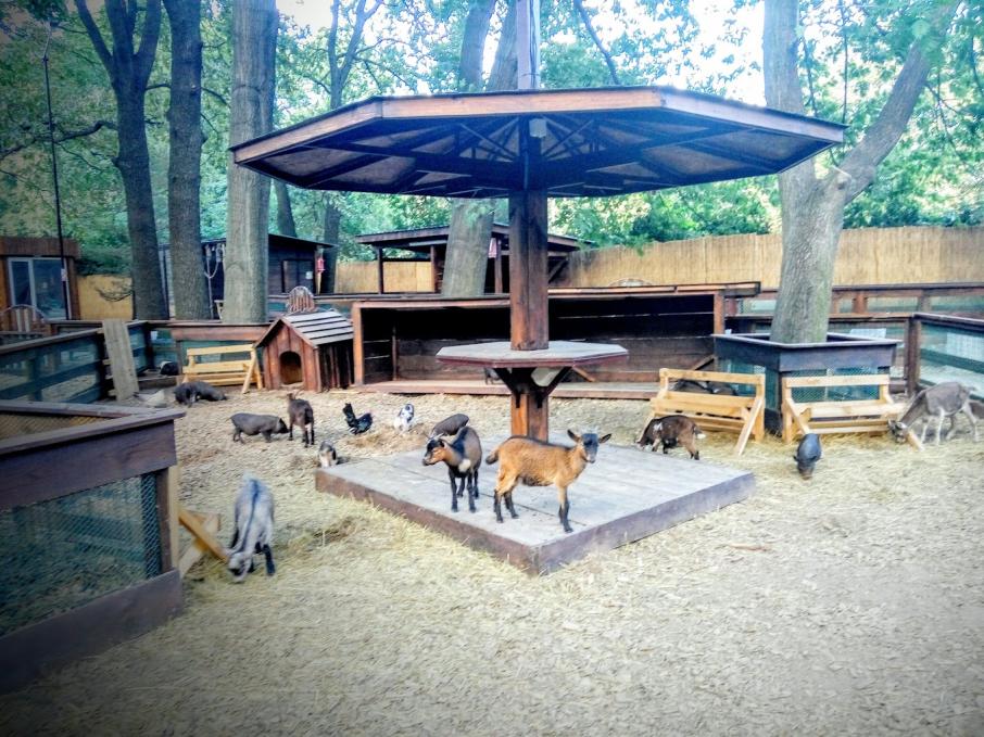 Animal Park