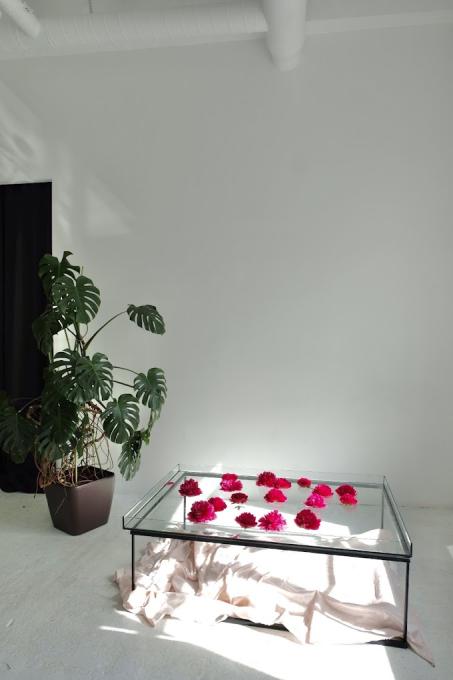 SKYLIGHT