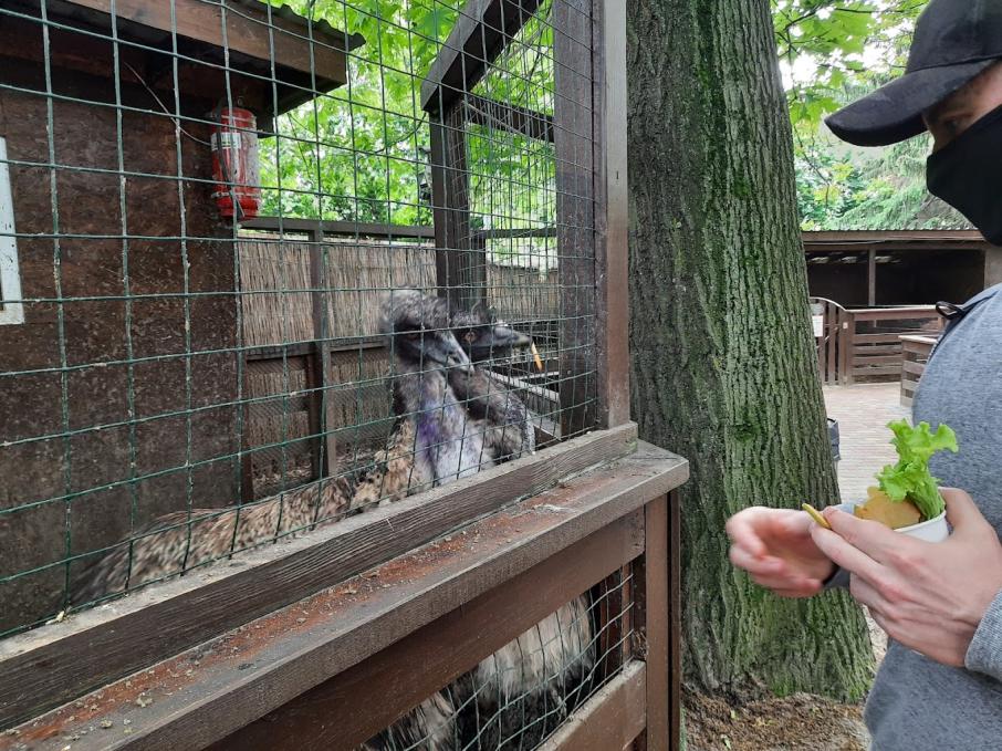 Animal Park