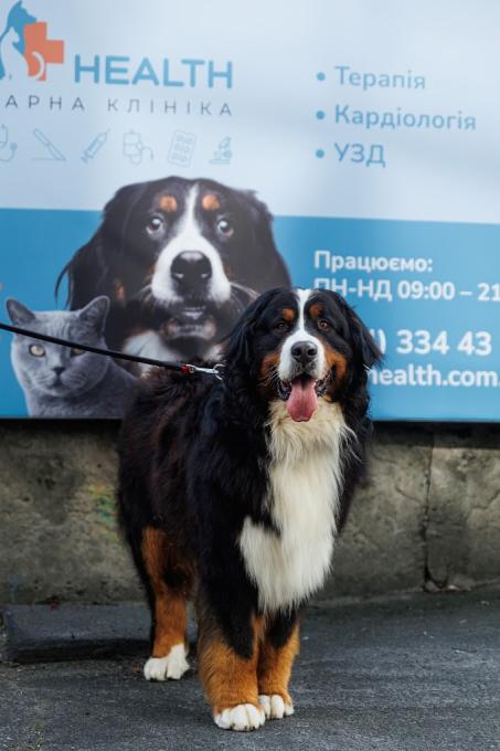 RONI HEALTH