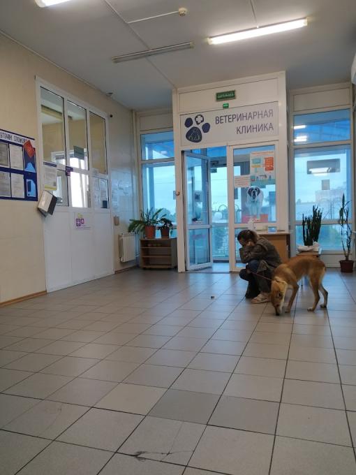 Киевская городская больница ветеринарной медицины