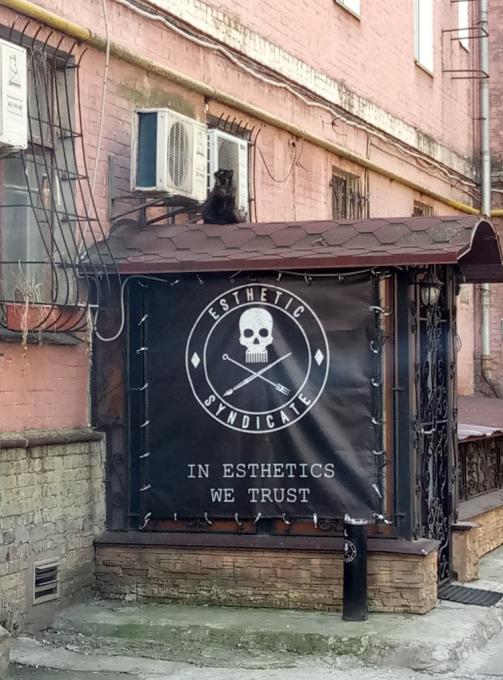 Esthetic Syndicate