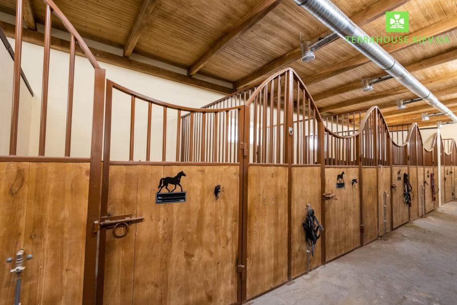 Pony Club