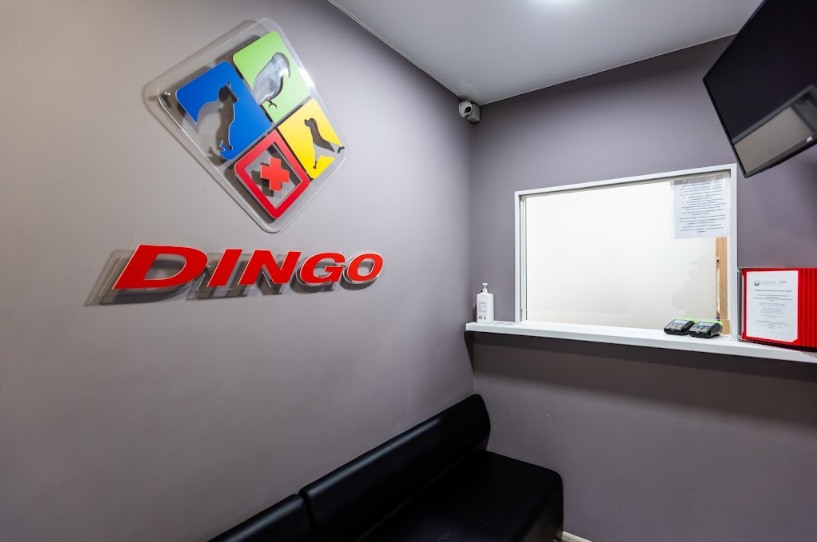 DINGO