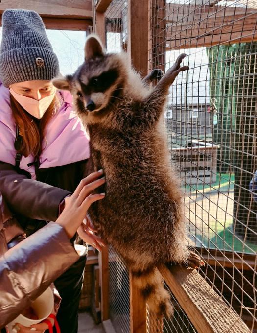 Animal Park