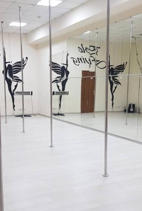 Pole Flying