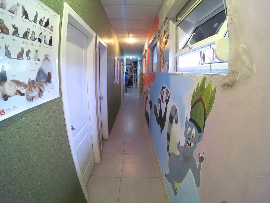 Мадагаскар