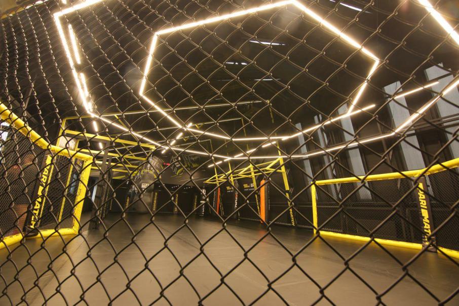Fight Academy