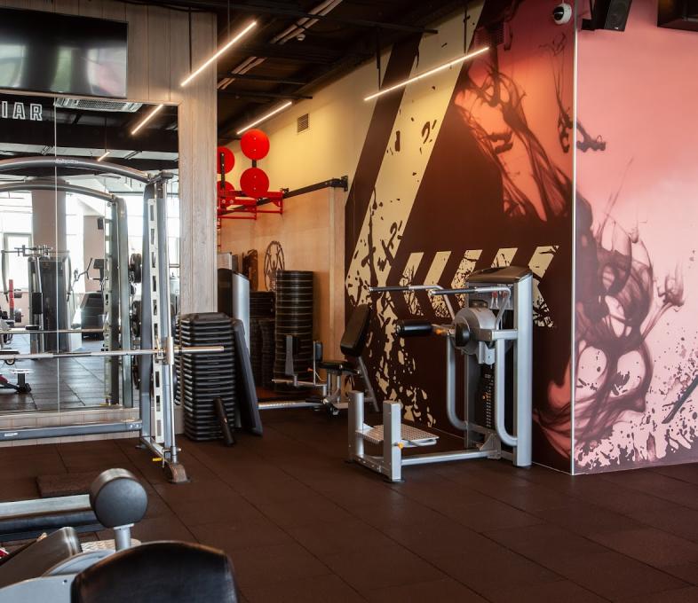 Geliar Gym