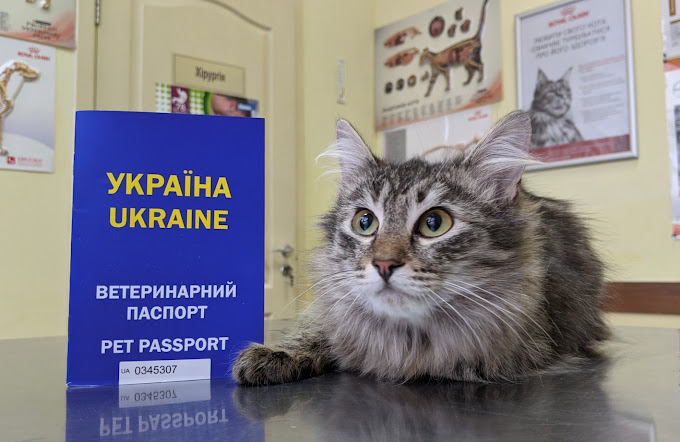 Центр Сучасної Ветеринарної Медицини