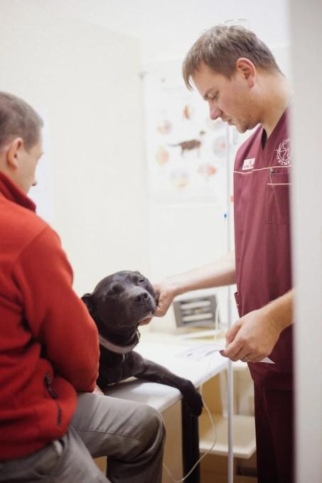 VetMed