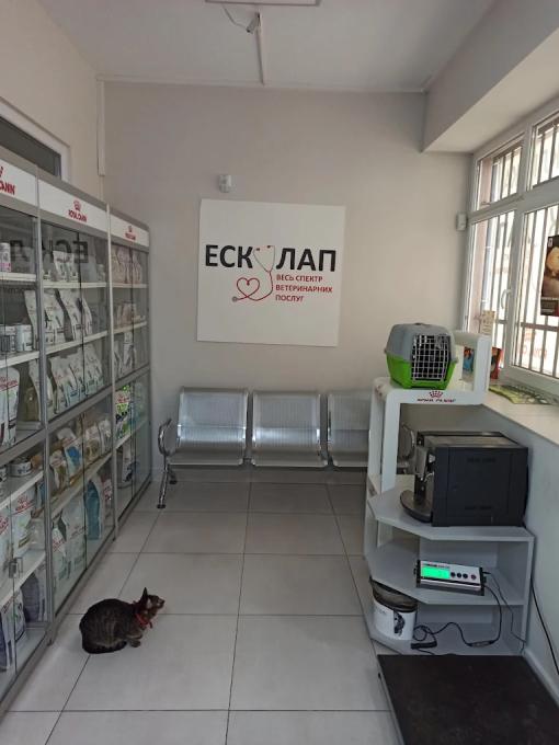 Ескулап