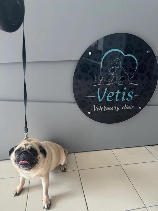 Vetis